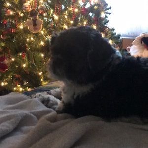 Meet your Posher, Rachael